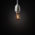 Small Edison Decorative Light Bulb