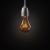 Original Decorative Light Bulb